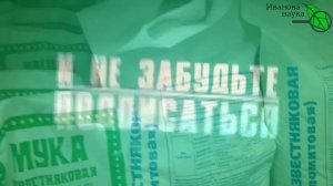 Плохо растет укроп: почему он капризничает и как это исправить.
