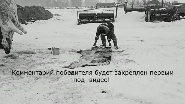 Время Бакса пришло! И другие дела недели №12 смотреть онлайн