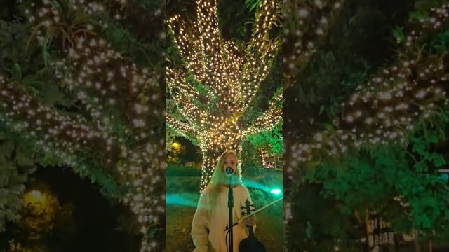 Versión De Violín Y Vocal De 'All By Myself' (original De Celine Dion) - Roza 10 Años