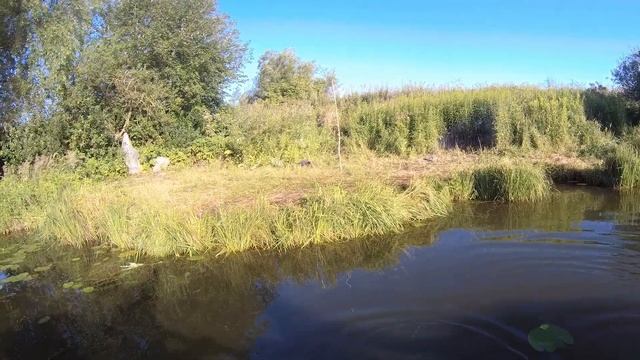 Жареный КАРАСЬ на природе. Рыбалка с ночёвкой р. ПРЕГОЛЯ смотреть онлайн
