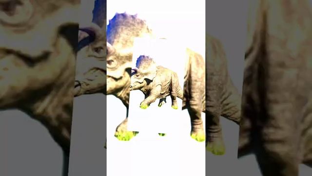 Jurassic world Trex Brontosaurus Stegosaurus #shorts смотреть онлайн
