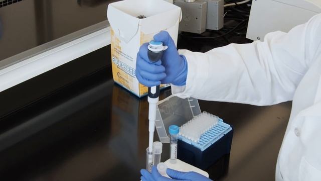Creating Bacterial Glycerol Stocks смотреть онлайн