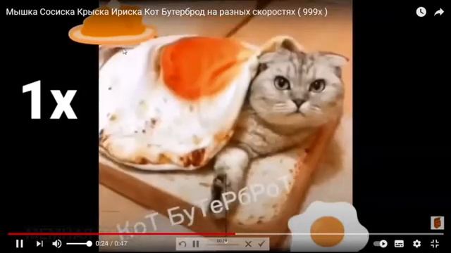 Мышка Сосиска Крыска Ириска Кот Бутерброд на разных скоростях ( 999х )