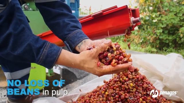 Ecoline 1000 Ecological coffee wet mill смотреть онлайн