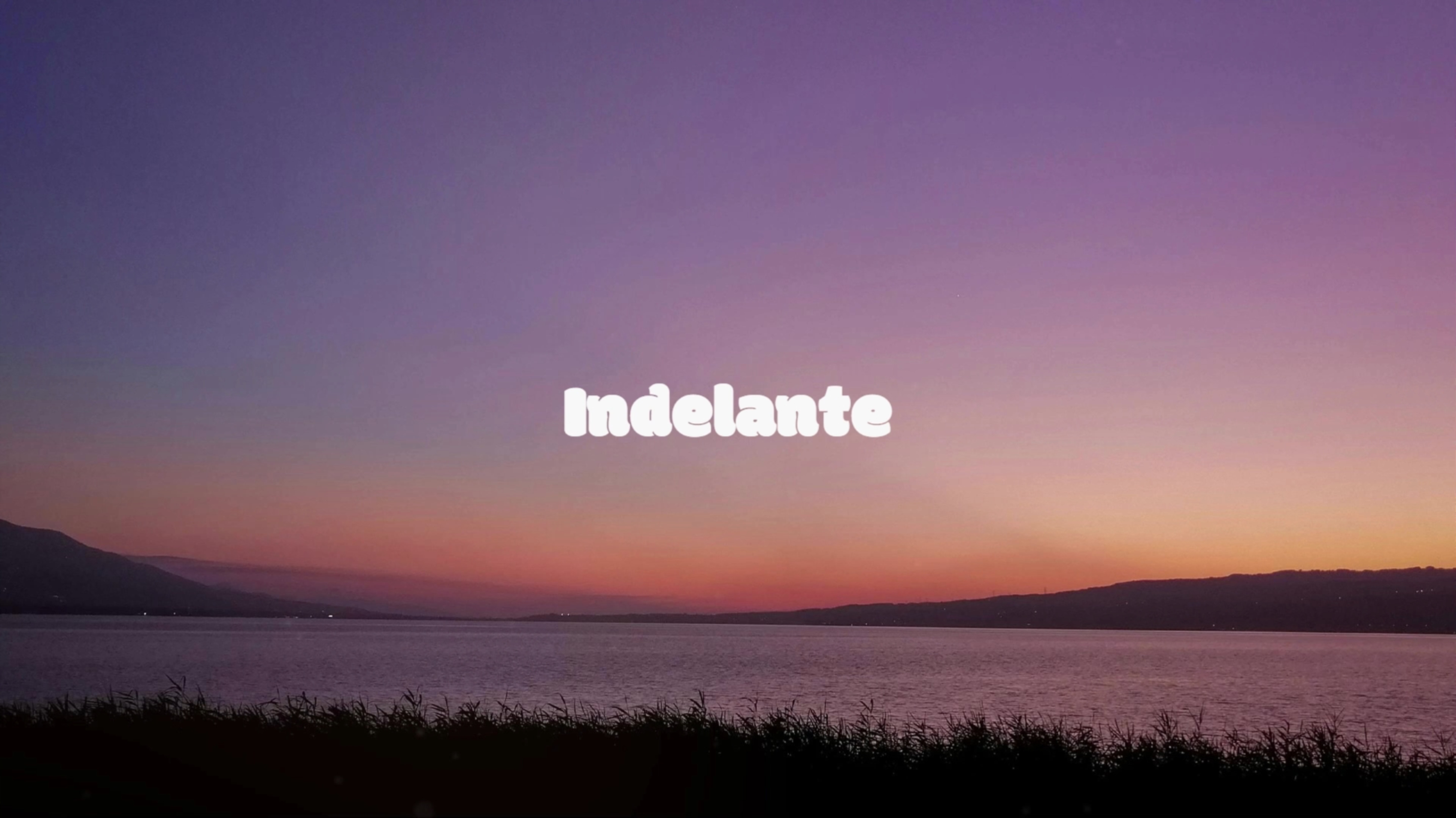 Purrple Cat — Mysterious Passenger