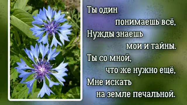 Иисус, Ты мой лучший Друг! смотреть онлайн