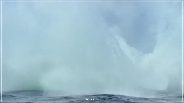 96 Kathalae Kathalae Song Music × Humpback Whale sound смотреть онлайн