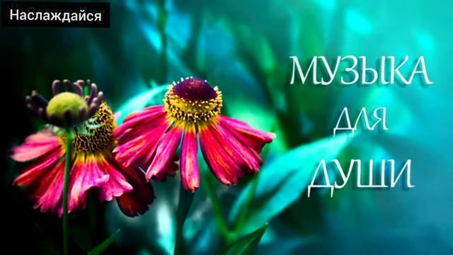 РЕЛАКС МУЗЫКА ВИДЕО RELAX VIDEO#релакс#музыкадлядуши#музыка