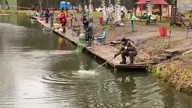Лосось клюют! смотреть онлайн
