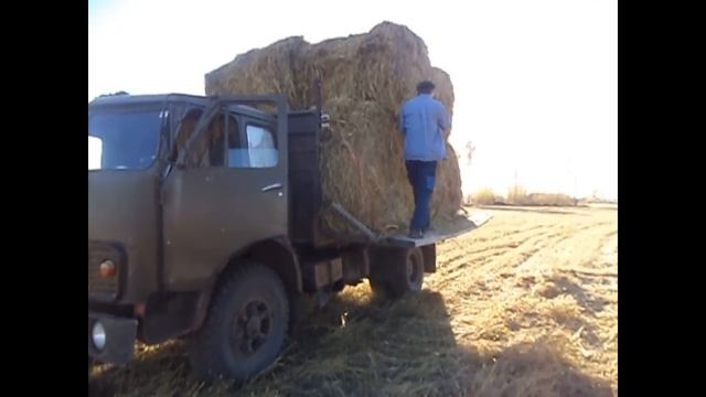 Зачем нам нужен старый МАЗ? Или как выгоднее вывозить рулоны? смотреть онлайн