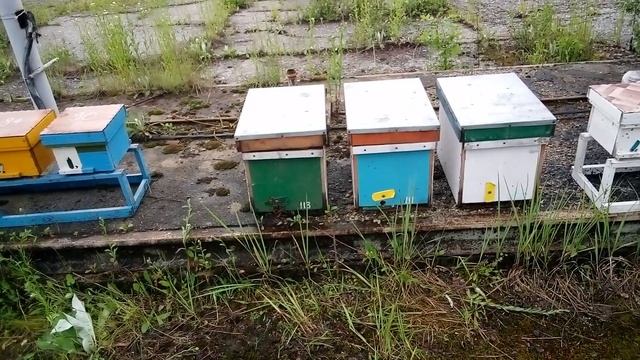Где брать материал карпатки? смотреть онлайн