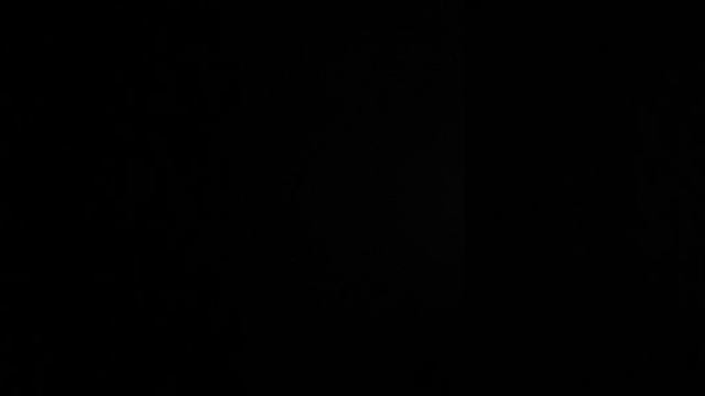 17 апреля 2024 г. смотреть онлайн