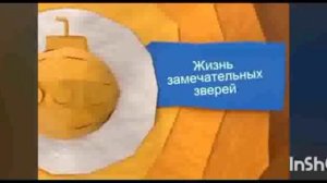 Карусель Анонс РАРИТЕТ Жизнь замечательных зверей июнь 2013 кусок