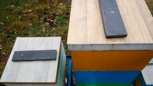 противоварроатозная обработка миниплюсов