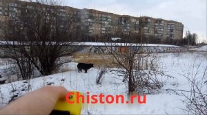 Чистон 11 антидог против бродячих собак