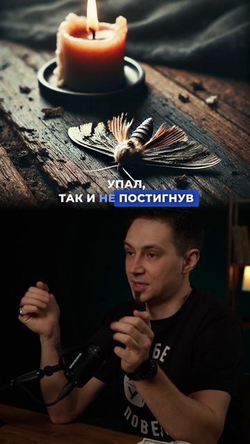 Понимаешь смысл? #психология смотреть онлайн