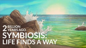 Симбиоз (How Did Life Recover From The First Mass Extinction)