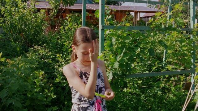 Переделка старой дачи. Часть вторая. Кухня. смотреть онлайн