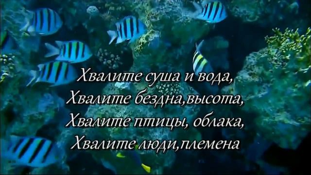 Хвалите Господа с небес смотреть онлайн