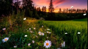 НЕДЕРЖАНИЕ*ОЗДОРОВЛЕНИЕ МОЧЕВОГО ПУЗЫРЯ И МЫШЦ ТАЗА