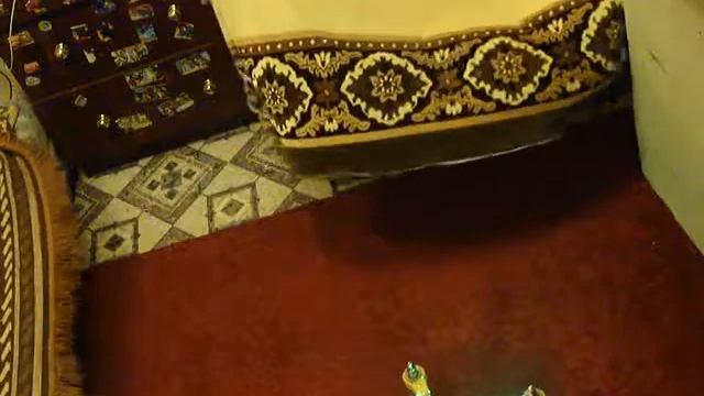 полет в замкнутом пространстве 1 (авто-уровень) смотреть онлайн