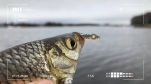 Eleven Lures Atata. Новинка в мире мормышинга и наноджига