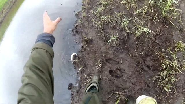 ЛЕТНЯЯ РЫБАЛКА 2020 ГОД КАРАСЬ смотреть онлайн
