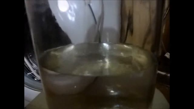 Готовимся к Новому году! смотреть онлайн