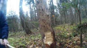 Таёжный топор. Как рубить топором , правильная техника рубки\ударов