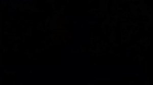 Шрила Радханатха Свами. Джапа.