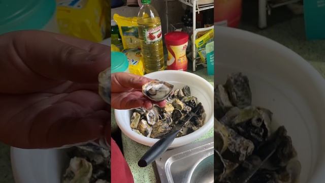 Talaba ba? #fresh #oyster #seafood #reels смотреть онлайн