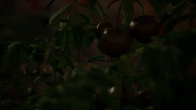 Unreal Engine 5 - Ultimate Farming Asset Pack | From Seed Germination to Fruit Production смотреть онлайн