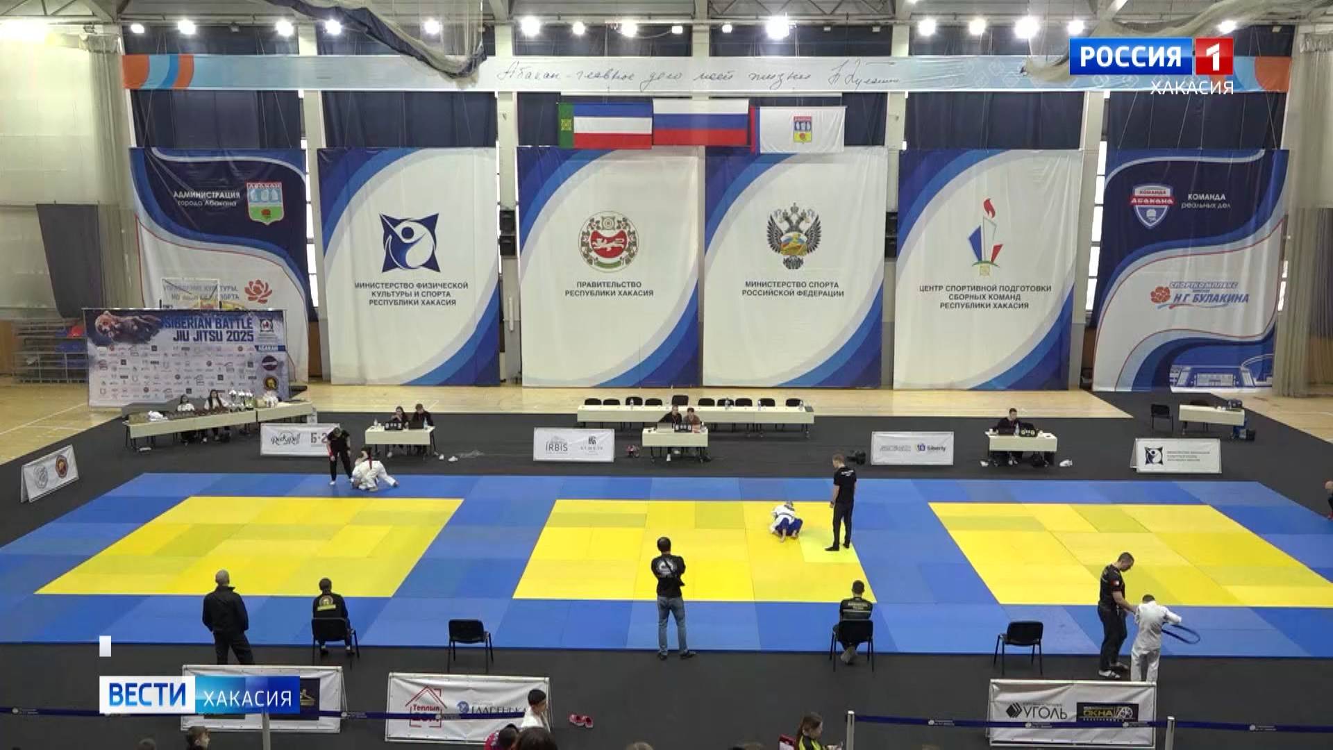 В Абакане прошёл турнир по джиу-джитсу смотреть онлайн