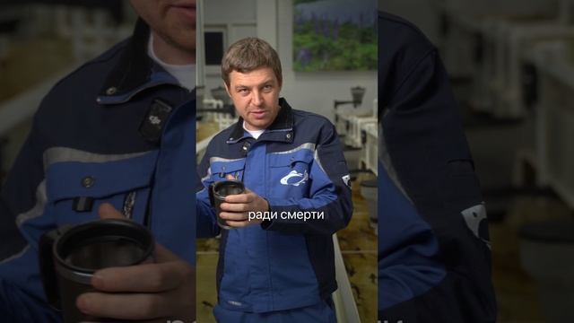 Откуда берется черная икра? #рыба #икра #белуга #бизнесидеи #бизнес #рыбоводство #бизнесснуля смотреть онлайн