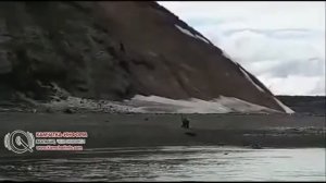 Медведь напал на человека