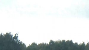 Журавли (Сонковский р-он)