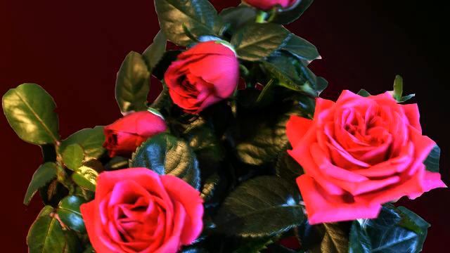 Свежая русская песня радио онлайн смотреть онлайн