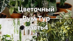 цветочный  Рум  Тур ч4