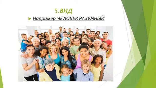 Уровни живого