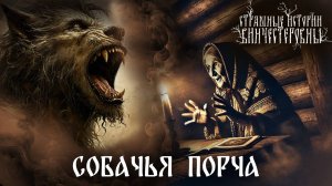 Страшная история "Собачья порча"