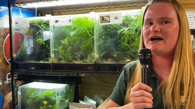 Most Poisonous Dart Frog in the World смотреть онлайн