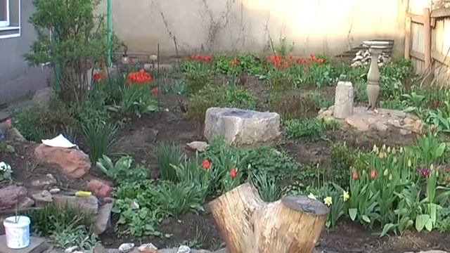 Полисад в Апреле #shorts смотреть онлайн