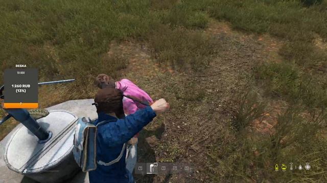 Играю в дейз