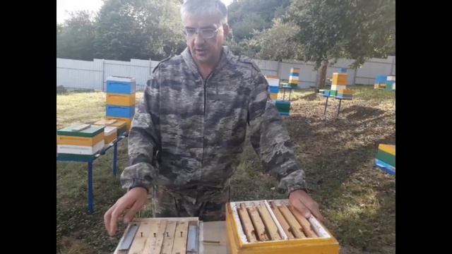 нуклеусы сравнение