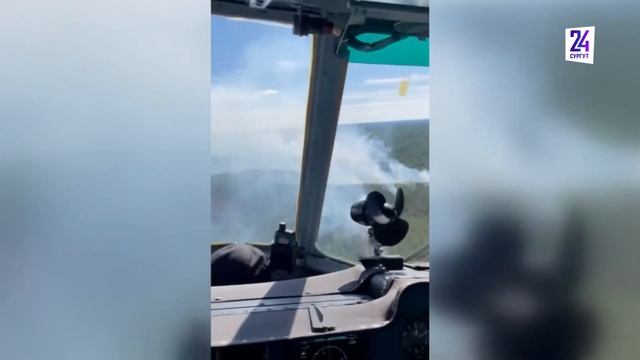 На территории Югры не осталось лесных пожаров смотреть онлайн