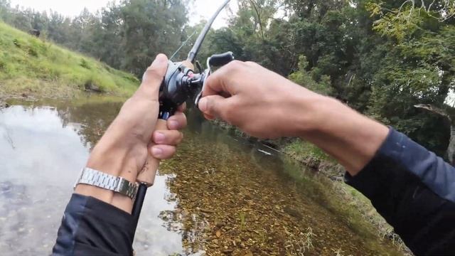 Land based fishing for GIANT Australian Bass смотреть онлайн