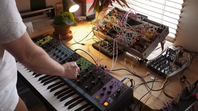 Electricité Moderne - Eurorack Modular Jam #016 feat. Moog Matriarch смотреть онлайн