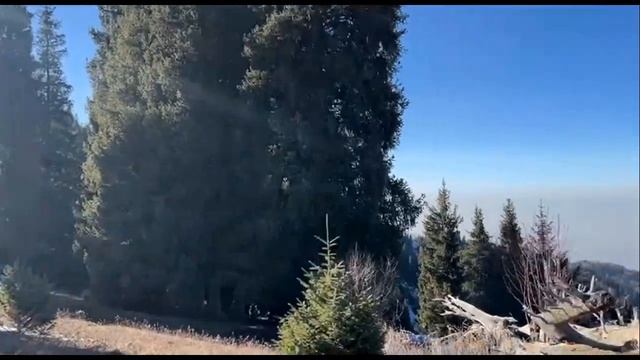 ВАУ! Красотища то какая! Если нравятся красивые виды, то сюда #relaxing #sports #walking смотреть онлайн