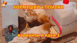 Кормушки и поилки для кур своими руками (3) 🪚🪛🔨 Пошаговая инструкция как сделать 🐓