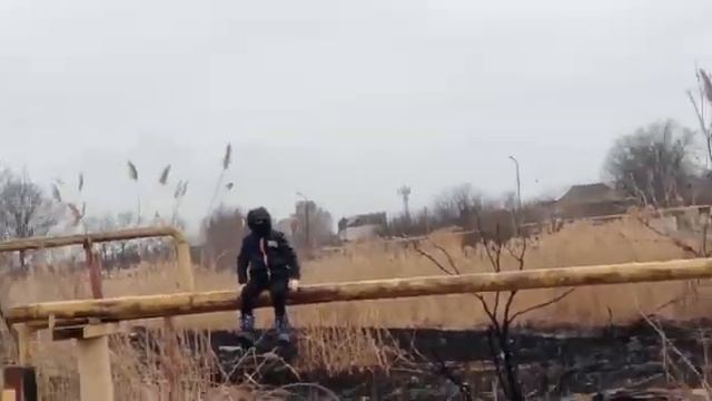 супер треугольник смотреть онлайн